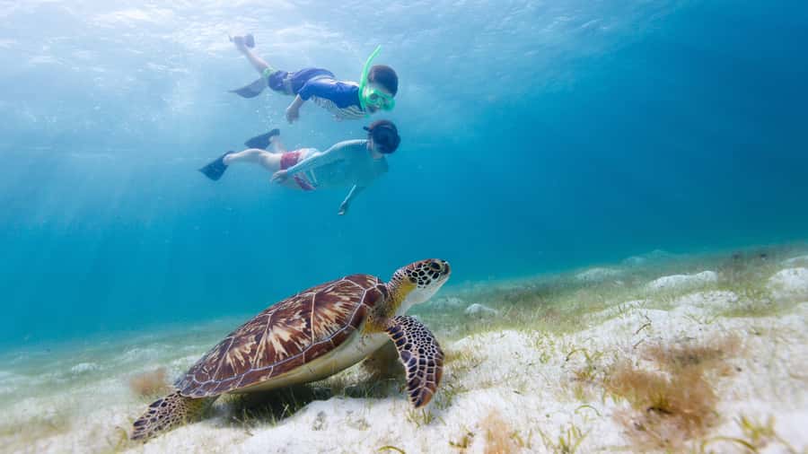 Daymaniyat Islands Snorkeling Small Group Turtles - Starting at Seeb Port and getting ready