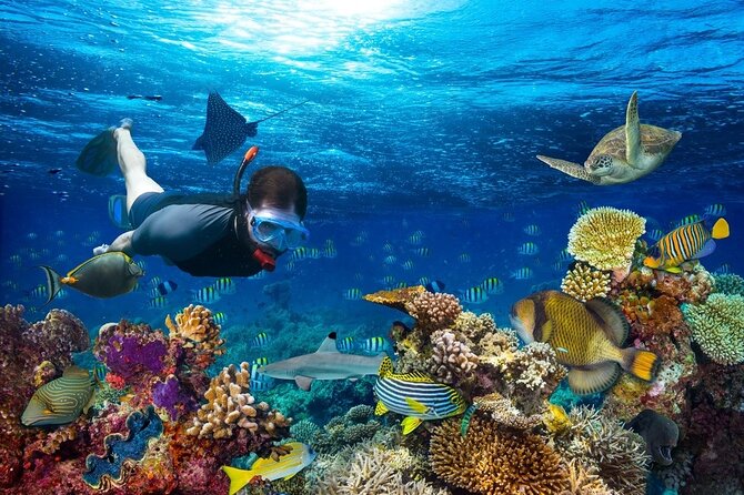 Daymaniyat Islands Snorkeling Tour - A morning from Al Mouj to the Daymaniyat Islands