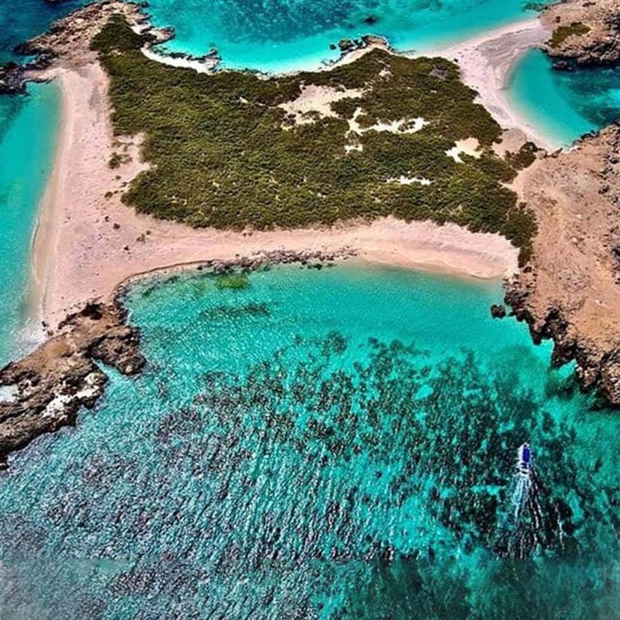 Daymaniyat Islands Snorkeling with Picnic Lunch - Island walks, beaches, and time ashore