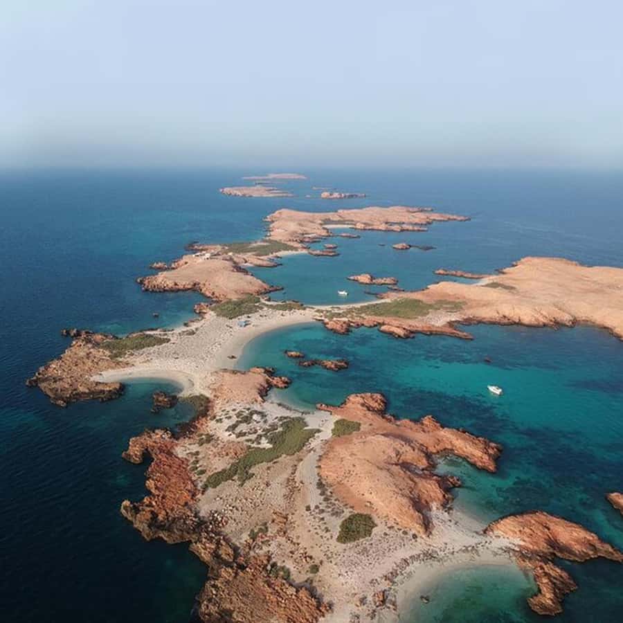Daymaniyat Islands Snorkeling with Picnic Lunch - The captain and guide make a real difference
