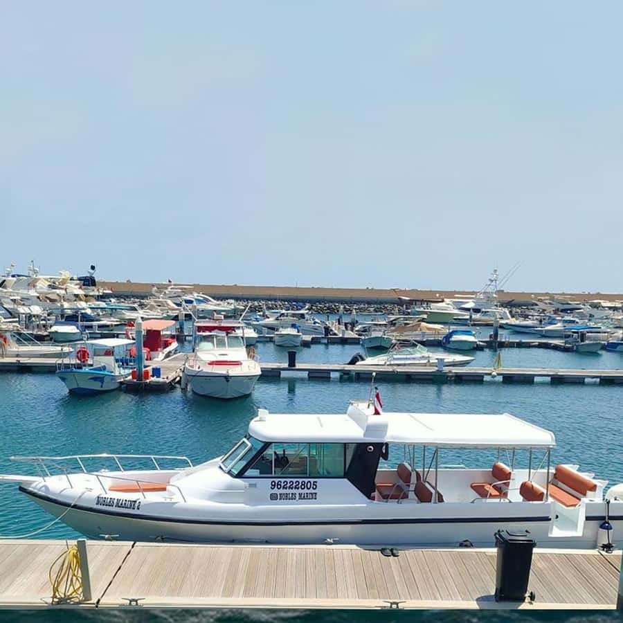 Daymaniyat Islands Snorkeling with Picnic Lunch - Is $71 a fair price?