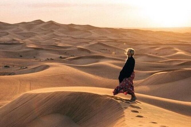 Desert Overnight in Private Bedouin Tent - Key points to know before booking