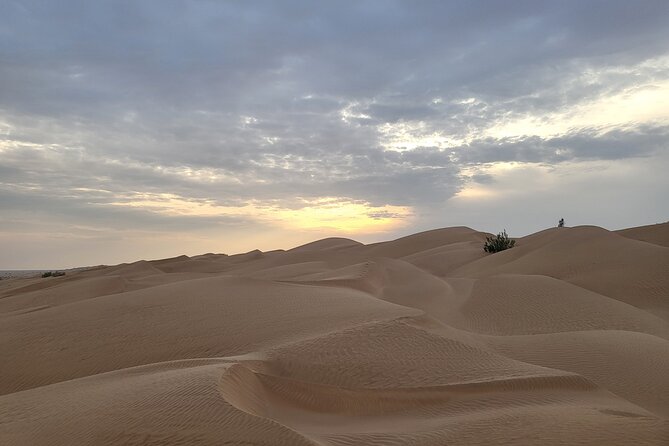 Desert Safari in Empty Quarter with Dune Bashing - Guides can shape the quality of the day