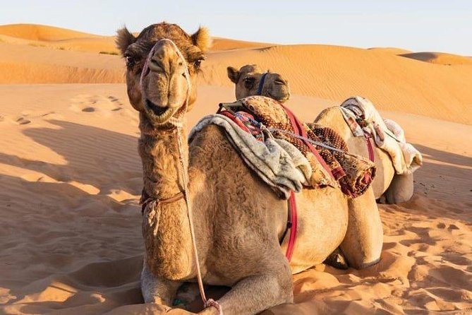 Desert Safari Private - From Muscat to the Wahiba Sands