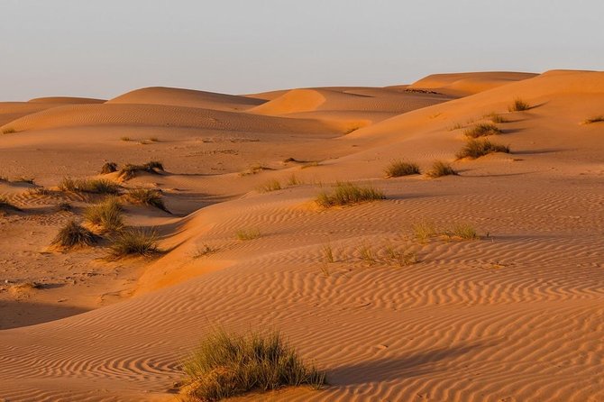 Desert Safari Sharing Tours - Wahiba Sands and the first taste of desert driving