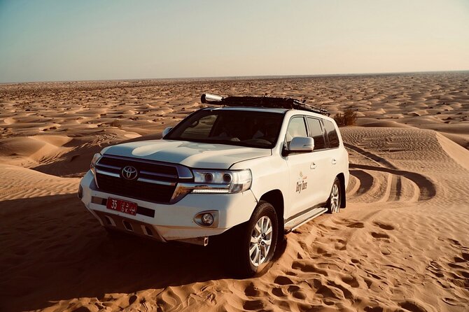 Desert Safari, Sunset & Sand Bashing (Rub Al Khali Desert) - Black camels near Thumrait