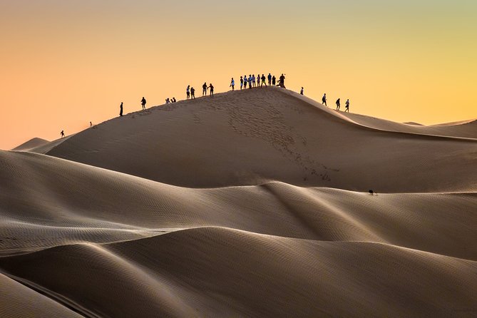 Desert Safari Trip Full Day & Ubar Lost city - Who should book this desert day