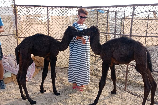 Desert Sunset Tour VisitSalalah - Why this Salalah desert tour is different