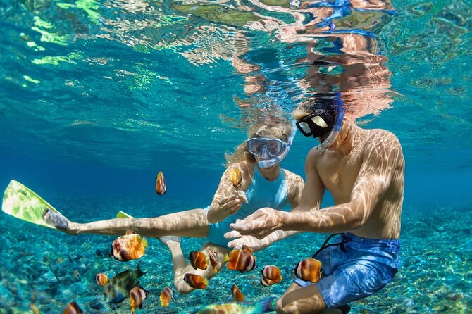 Dimaniyat Island Tour with Snorkeling - Leaving Al Mouj Muscat at 8:30 am