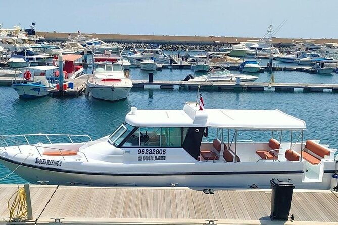 Dimaniyat Island Tour with Snorkeling - Turtle watching in their natural setting