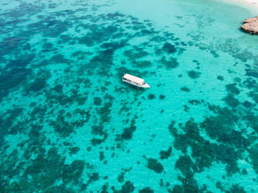 Dimaniyat Islands Scuba Diving Trip - What the guide support means for you