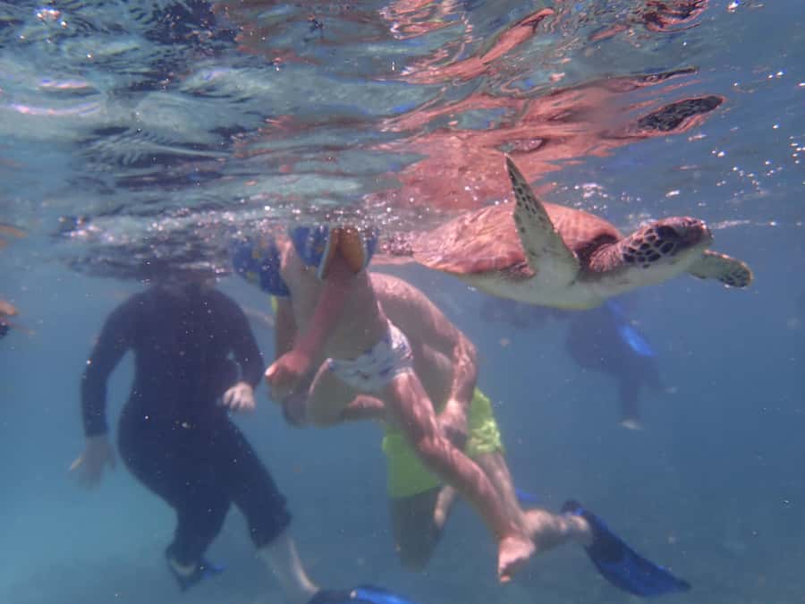 Dimaniyat Islands Snorkeling Trip - Key points to know before you book