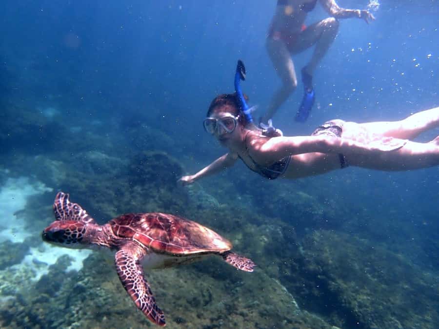 Dimaniyat Islands Snorkeling Trip - A snack break between snorkeling stops
