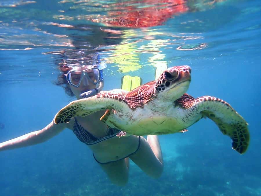 Dimaniyat Islands Snorkeling Trip - What the guide and crew add