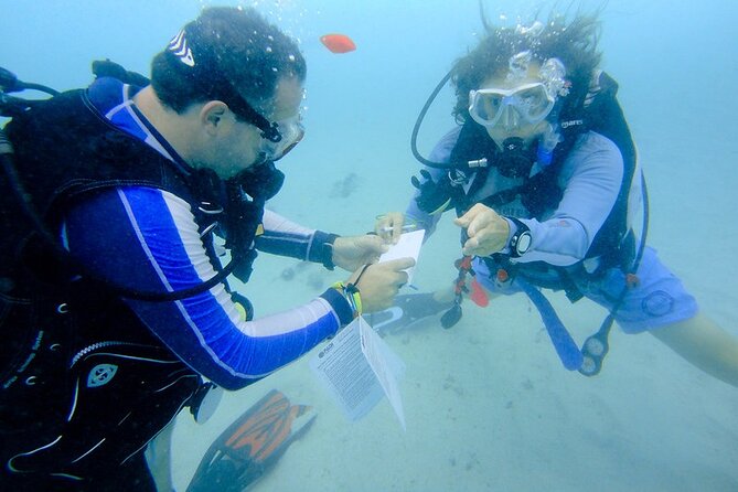 Discover Scuba Diving from a Fishing Village - Booking, cancellation, and practical planning