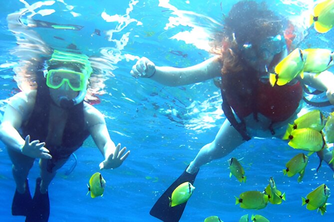 Dolphin Watching and Snorkeling Activity in Muscat - Setting out from Marina Bandar Al Rowdha at 9:45 am