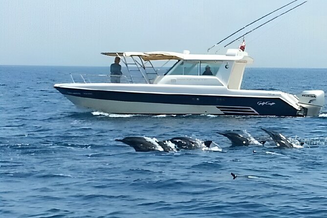 Dolphin Watching and Snorkeling Activity in Muscat - What the three-hour duration really means