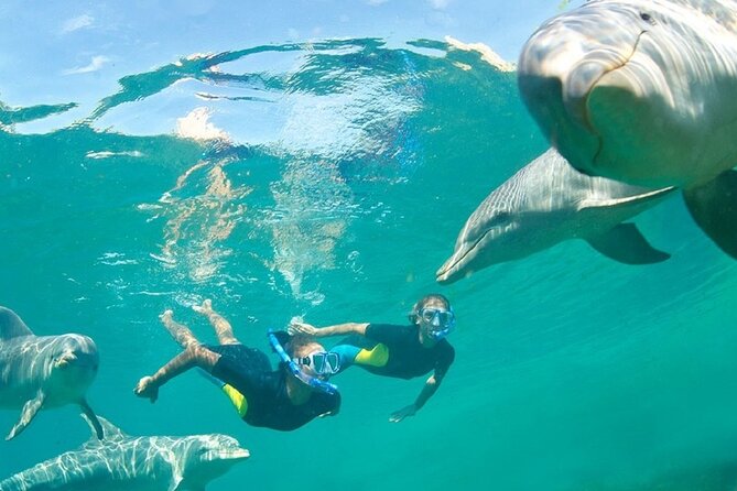 Dolphin Watching and Snorkeling Activity in Muscat - Snacks, drinks, and the small-group advantage