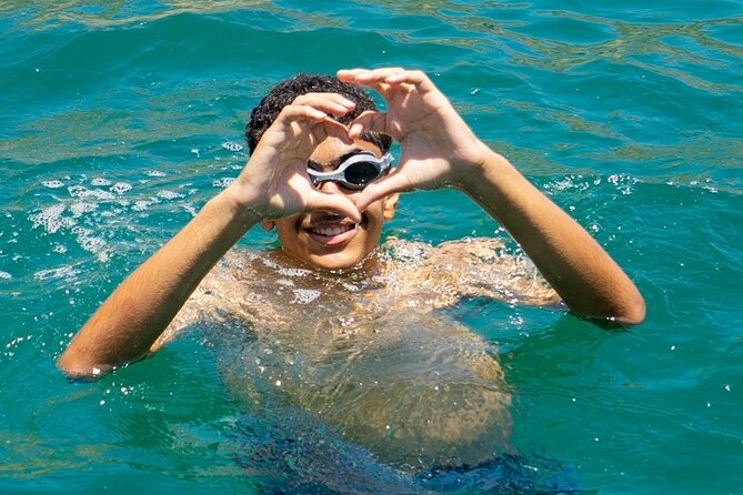 Dolphin Watching and Snorkeling Cruise Experience in Muscat - Watching dolphins in open water