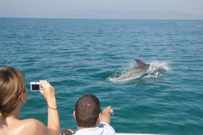 Dolphin Watching and Snorkeling Tour from Muscat - One hour with a mask in Bandar Khiran