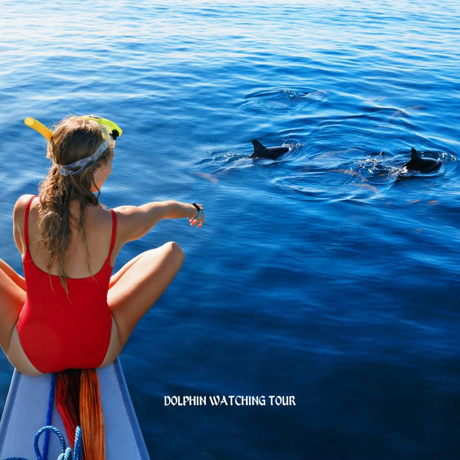 Dolphin Watching and Snorkeling Tour with Hotel Transfers - Snorkeling over Oman’s coral reefs