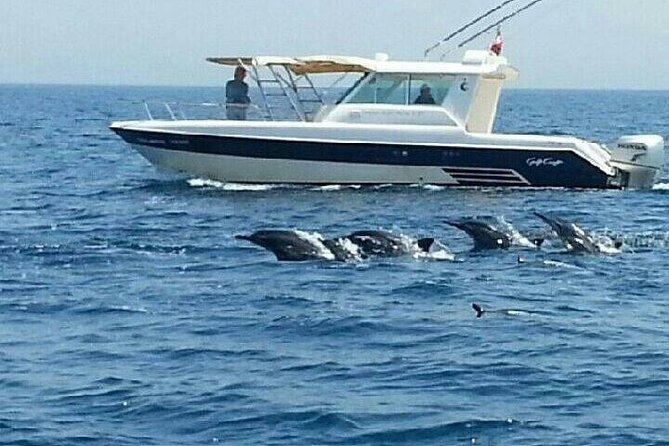 Dolphin Watching in Muscat - Is $59 a Fair Price?