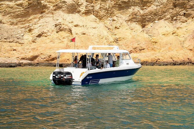 Dolphin Watching in Muscat - Who Will Enjoy This Trip Most?