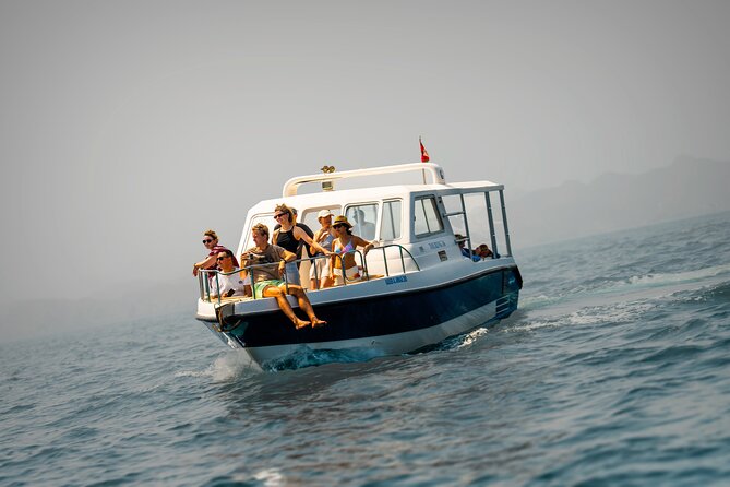 Dolphin Watching in Muscat - Qantab Beach and the Snorkeling Stop