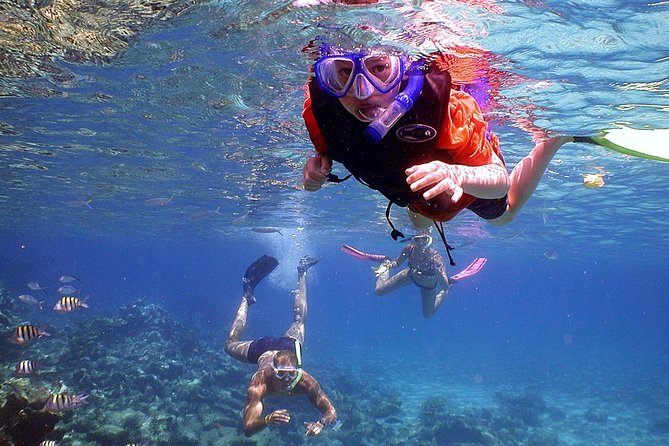 Dolphin Watching & Snorkeling - Who will enjoy this three-hour outing?