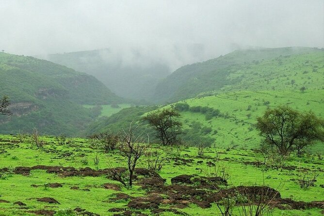 East of Salalah, Mountain Safari, Camels, Waterfall, White beach - Tawi Ateer and Teeq Cave add a sense of adventure