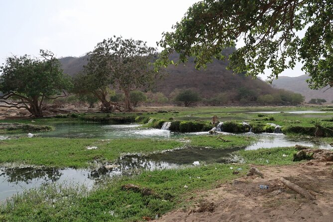 East of Salalah, Mountain Safari, Camels, Waterfall, White beach - The anti-gravity hill is a short, playful stop