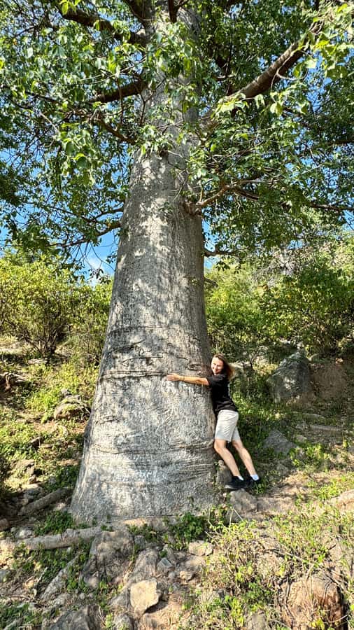 East Salalah Adventure: Nature, History, and Scenic Views - Why East Salalah works so well as a full-day outing