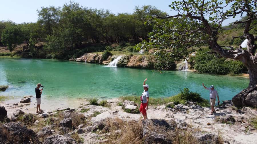 East Salalah Adventure: Nature, History, and Scenic Views - Baobab trees: an unusual Dhofar photo stop