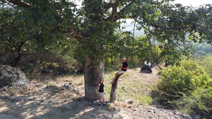 East Salalah Adventure: Nature, History, and Scenic Views - What the $150 price really buys you