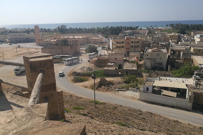 East Salalah Highlights: Half-Day Heritage & Scenic Countryside - Baobab trees on Samhan Mountain