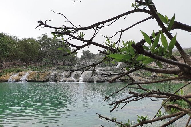 East Salalah Mountain Safari - Why East Salalah makes a good half-day outing