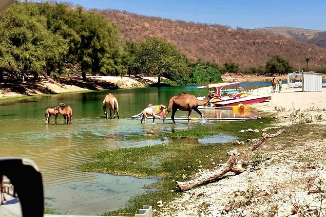 East Salalah Private Tour by VisitSalalah - Jabal Samhan and the high country