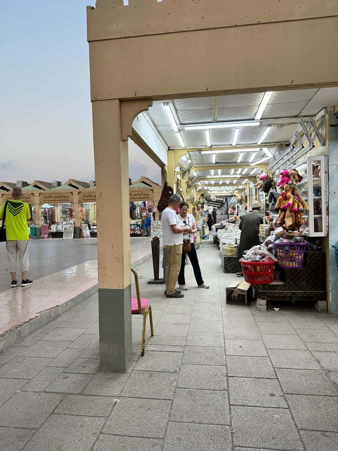 Elite Private Full Day Tour - Salalah Main Attractions - Al Mughseal Blue Hole and the western coast