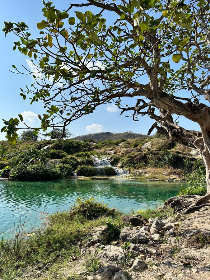 Elite Private Full Day Tour - Salalah Main Attractions - Is $386 good value?