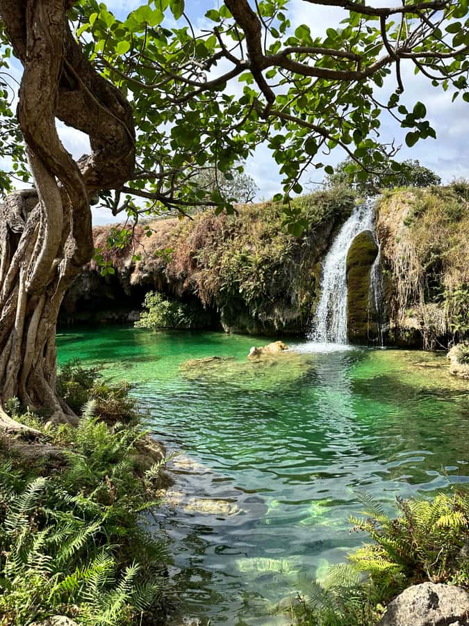 Elite Private Full Day Tour - Salalah Main Attractions - Taqah village, beach, and plateau