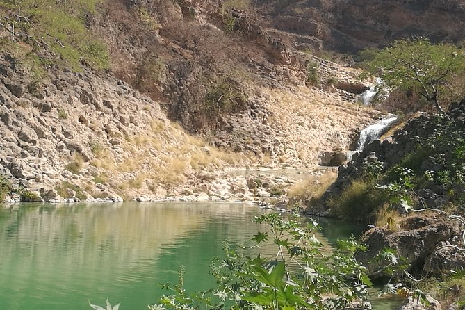 Enjoy a Full-Day Tour Uncovering East Salalah’s Hidden Gems - Taqah Castle connects fishing life with local government