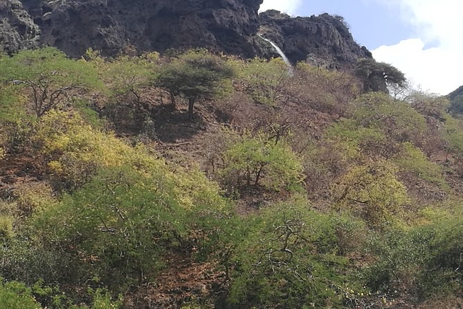 Enjoy a Full-Day Tour Uncovering East Salalah’s Hidden Gems - Wadi Darbat is the day’s natural centerpiece