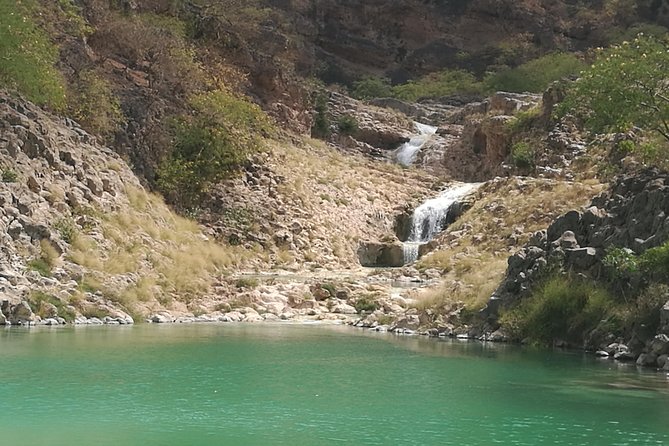 Enjoy a Full-Day Tour Uncovering East Salalah’s Hidden Gems - Hinnah Valley protects Dhofar’s rare baobabs
