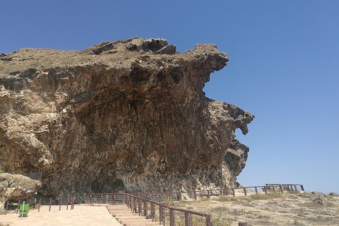 Explore West Salalah’s Stunning Natural Scenery - a Full-Day Tour - What this western Salalah tour is really like