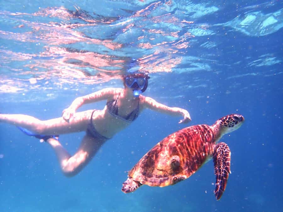 From Al-Seeb: Dimaniyat Islands Boat Trip with Snorkeling - Who will enjoy this trip most