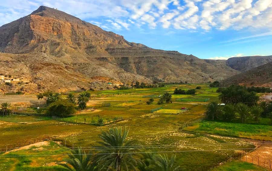 From Dubai: Musandam Khasab Tour with Boat Trip and Safari - Sayah village, fossils, and the view from above