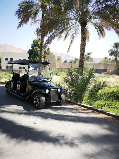 From Jebel Akhdar: Al Aqur Village Cultural Cart Tour - Key points to know before you book