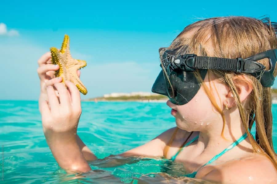 From Muscat: Dimaniyat Islands Snorkeling Tour - Why the Dimaniyat Islands are worth your day