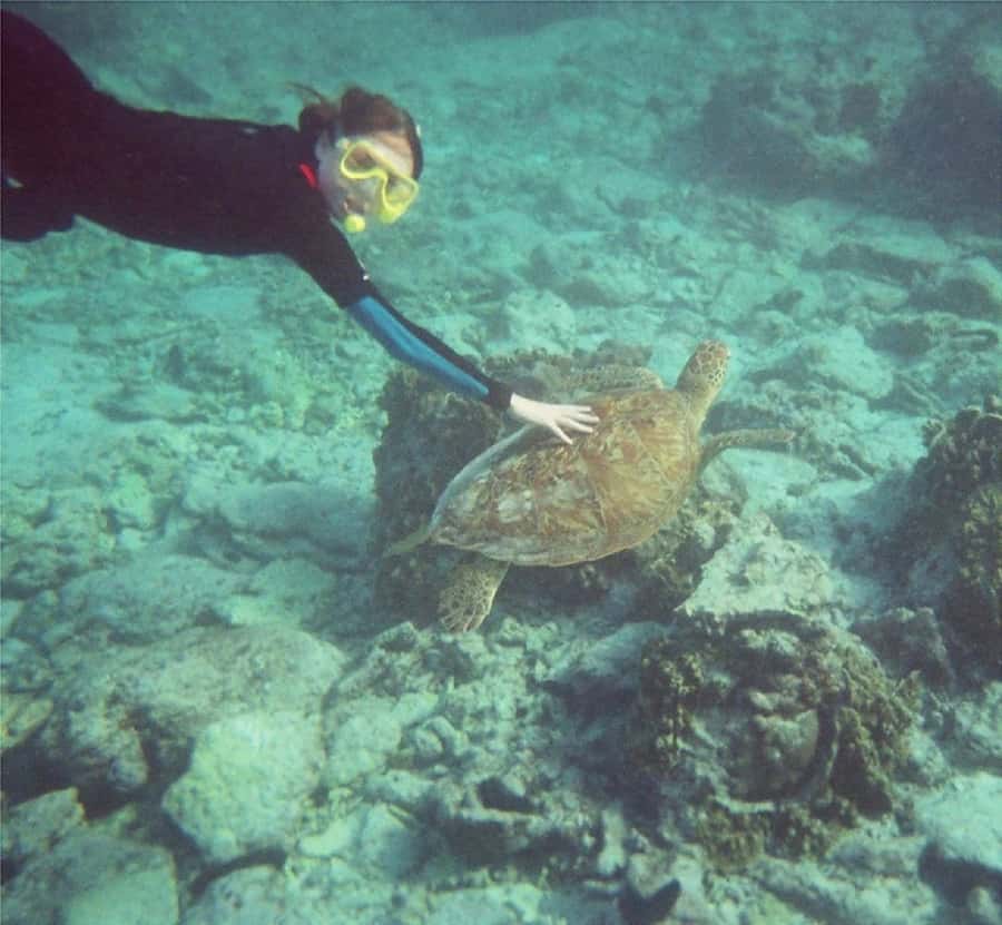 From Muscat: Dimaniyat Islands Snorkeling Tour - How the $85 price compares with the experience