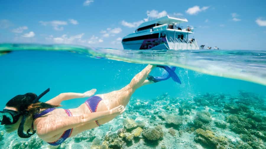 From Muscat: Dimaniyat Islands Snorkeling Tour - The morning pickup from Muscat
